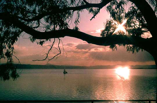 La Albufera