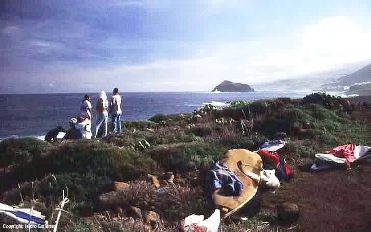 Surfistas en La Caleta